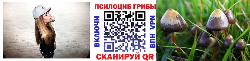 гидра tor  Корсаков  Псилоцибиновые грибы мицелий 